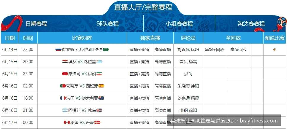 从小组赛到决赛：世界杯投注进度跟踪与数据可视化实操指南